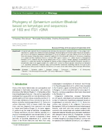 Phylogeny of Sphaerium Solidum (Bivalvia) Based on Karyotype and Sequences of 16S and ITS1 Rdna