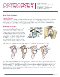 SLAP Lesions? the Shoulder’S Large, Though Useful, Range of Motion Can Also Lead to Injuries