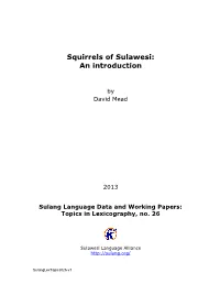Squirrels of Sulawesi: an Introduction