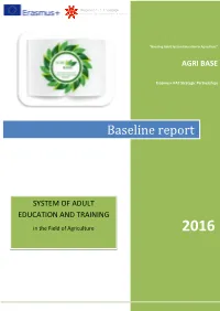 Baseline Report