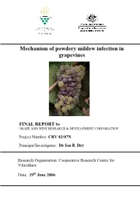 Mechanism of Powdery Mildew Infection in Grapevines