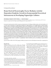Brain-Derived Neurotrophic Factor Mediates Activity- Dependent Dendritic Growth in Nonpyramidal Neocortical Interneurons in Developing Organotypic Cultures
