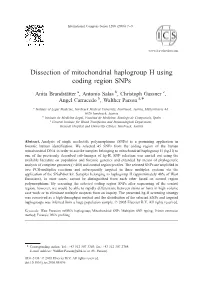Dissection of Mitochondrial Haplogroup H Using Coding Region Snps