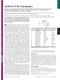 Synthesis of the Thapsigargins SPECIAL FEATURE