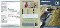 Gypsy Cove GIFT AID Please Use This Form for Both Penguin Adoption and Membership GYPSY COVE Purchase, Completing the Relevant Sections