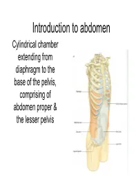 Introduction to Abdoman