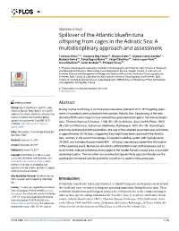 Spillover of the Atlantic Bluefin Tuna Offspring from Cages in the Adriatic Sea: a Multidisciplinary Approach and Assessment