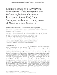 Complete Larval and Early Juvenile Development of the Mangrove Crab