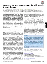 Gram-Negative Outer-Membrane Proteins with Multiple Β-Barrel Domains