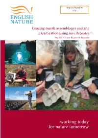 Grazing Marsh Assemblages and Site Classification Using Invertebrates�� English Nature Research Reports