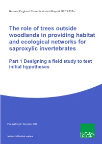 The Role of Trees Outside Woodlands in Providing Habitat and Ecological Networks for Saproxylic Invertebrates