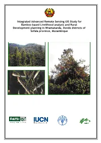 Integrated Advanced Remote Sensing GIS Study for Bamboo Based Livelihood Analysis and Rural Development Planning in Nhamatanda