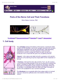 Parts of the Nerve Cell and Their Functions 1. Cell Body