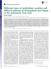 Different Types of Multiethnic Societies and Different Patterns Of
