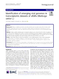 Identification of Emerging Viral Genomes in Transcriptomic Datasets of Alfalfa (Medicago Sativa L.) Peng Jiang, Jonathan Shao and Lev G
