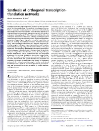 Synthesis of Orthogonal Transcription- Translation Networks