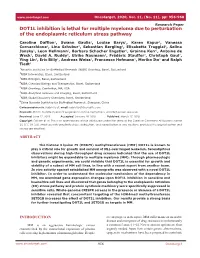 DOT1L Inhibition Is Lethal for Multiple Myeloma Due to Perturbation of the Endoplasmic Reticulum Stress Pathway