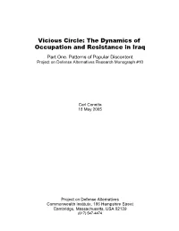 Vicious Circle: the Dynamics of Occupation and Resistance in Iraq Part One
