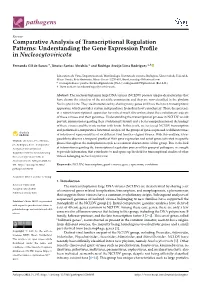 Comparative Analysis of Transcriptional Regulation Patterns: Understanding the Gene Expression Profile in Nucleocytoviricota