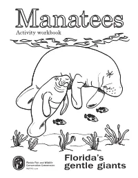 Manatees, Take a Few Minutes to Write Down What You Know About These Animals
