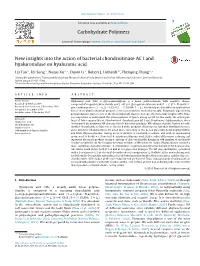 New Insights Into the Action of Bacterial Chondroitinase AC I And