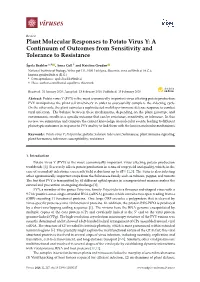 Plant Molecular Responses to Potato Virus Y: a Continuum of Outcomes from Sensitivity and Tolerance to Resistance