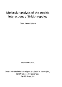 Molecular Analysis of the Trophic Interactions of British Reptiles