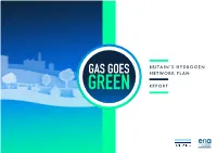 Britain's Hydrogen Network