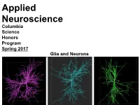 Glia and Neurons Glia and Neurons Objective: Role of Glia in Nervous System Agenda: 1