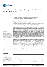 Canine Olfaction: Physiology, Behavior, and Possibilities for Practical Applications