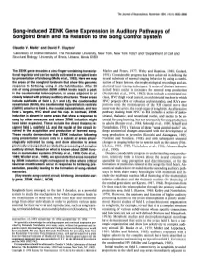 Song-Induced ZENK Gene Expression in Auditory Pathways of Songbird Brain and Its Relation to the Song Control System