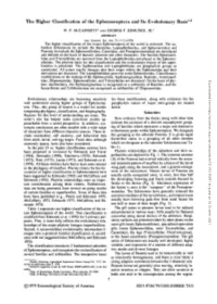 The Higher Classification of the Ephemeroptera and Its Evolutionary Basis1''