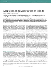 Adaptive Radiation, and Into the Relative Importance of Contingency and Determinism in Evolutionary Diversification