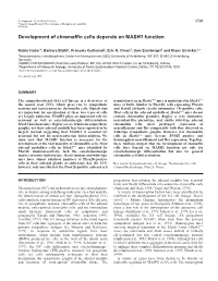 Chromaffin Cell Development in Mash1 Mutant Mice 4731