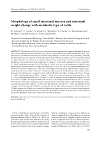 Morphology of Small Intestinal Mucosa and Intestinal Weight Change with Metabolic Type of Cattle