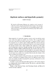 Algebraic Surfaces and Hyperbolic Geometry