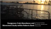 Dungeness Crab Abundance and Movement Study Within Roberts Bank