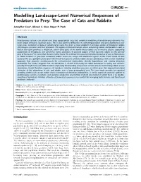 Modelling Landscape-Level Numerical Responses of Predators to Prey: the Case of Cats and Rabbits