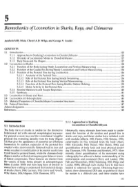 Biomechanics of Locomotion in Sharks, Rays, and Chimaeras