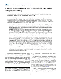 Changes in Tear Biomarker Levels in Keratoconus After Corneal Collagen Crosslinking