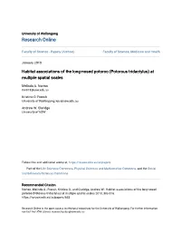 Potorous Tridactylus) at Multiple Spatial Scales