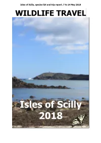 Isles of Scilly 2018