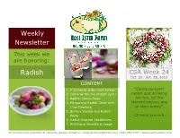 Radish CSA Week 24 Oct