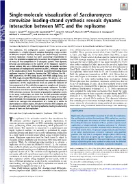 Single-Molecule Visualization of Saccharomyces Cerevisiae Leading-Strand Synthesis Reveals Dynamic Interaction Between MTC and the Replisome