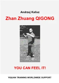 Zhan Zhuang QIGONG