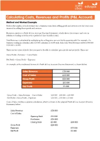 Calculating Costs, Revenues and Profits (P&L Account)