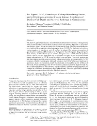 Fas Ligand, Bcl-2, Granulocyte Colony-Stimulating Factor, and P38