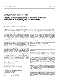 Populus Tremuloides Photosynthesis and Crown Architecture in Response to Elevated CO2 and Soil N Availability