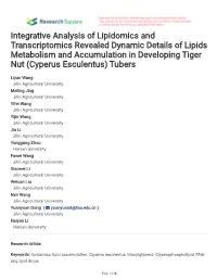 Integrative Analysis of Lipidomics and Transcriptomics Revealed Dynamic