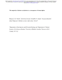The Majority of Histone Acetylation Is a Consequence of Transcription